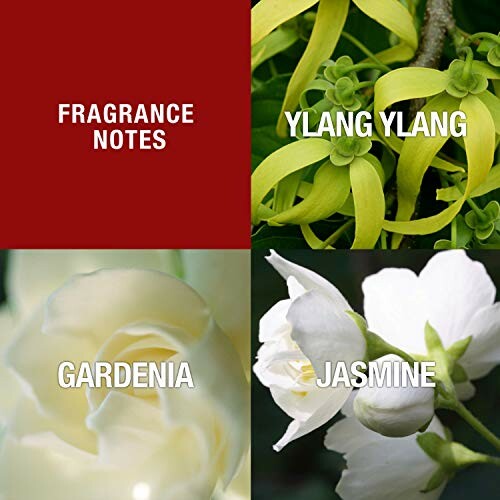 Image showing fragrance notes: ylang ylang, gardenia, jasmine.