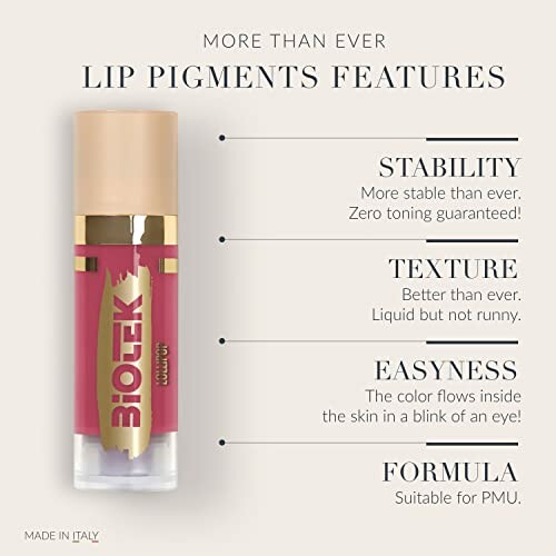 Infographic highlighting features of lip pigments: stability, texture, easyness, formula.