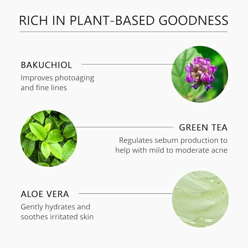 Image detailing benefits of Bakuchiol, Green Tea, and Aloe Vera for skin.